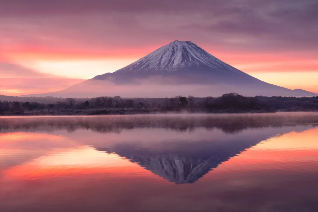 AdobeStock_135023071